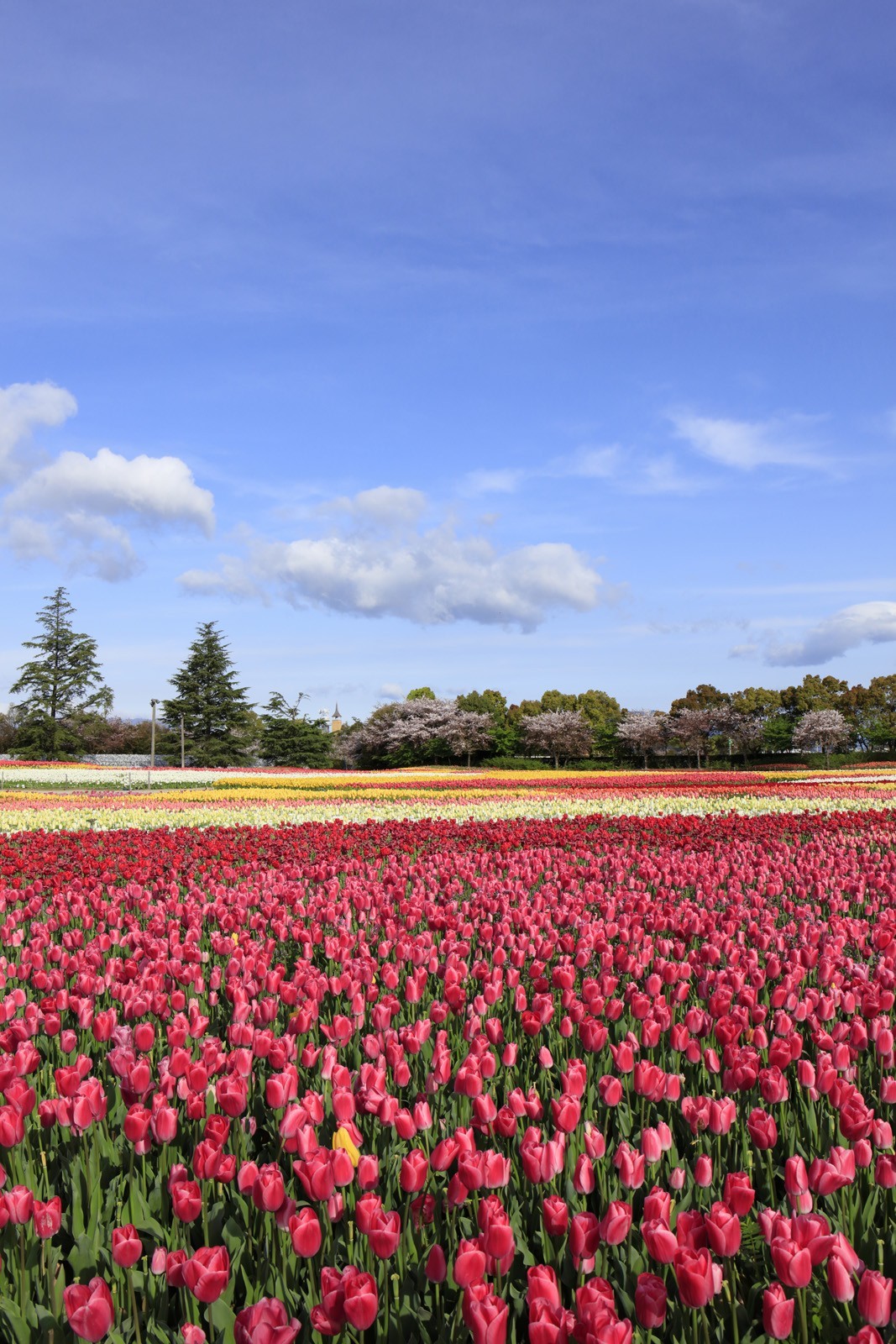 地区 分类 金额 商区 地鉄 北海道 青森县 岩手县 宫城县 秋田县 山形县 福岛县 茨城县 枥木县 群马县 琦玉县 千叶县 东京都 神奈川县 新泻县 富山县 石川县 福井县 山梨县 长野县 岐阜县 静冈县 爱知县 三重县 滋贺县 京都府 大阪府 兵库县 奈良县 和歌山县 鸟取县 岛